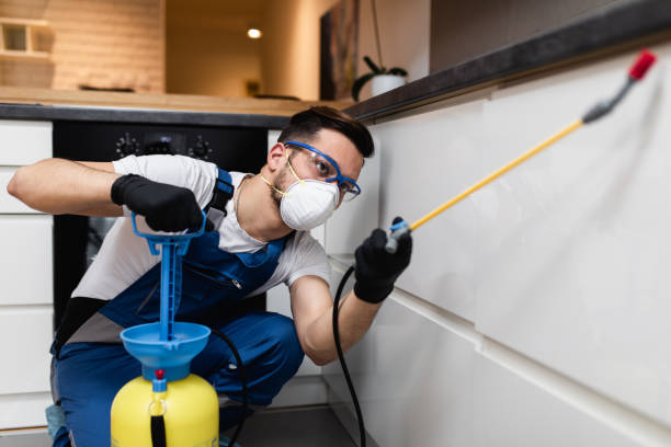 Best Flea Control Services  in Beaver, OK