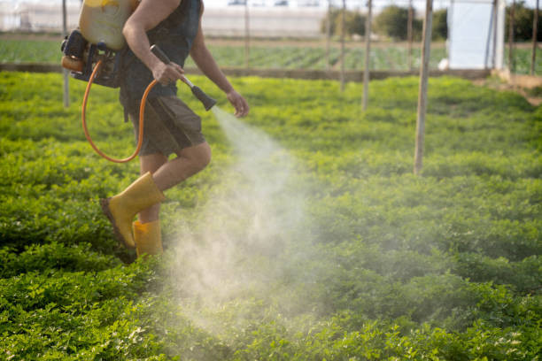 Best Pest Control for Restaurants  in Beaver, OK