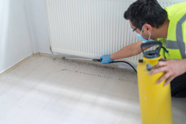 Best Affordable Pest Control Services  in Beaver, OK