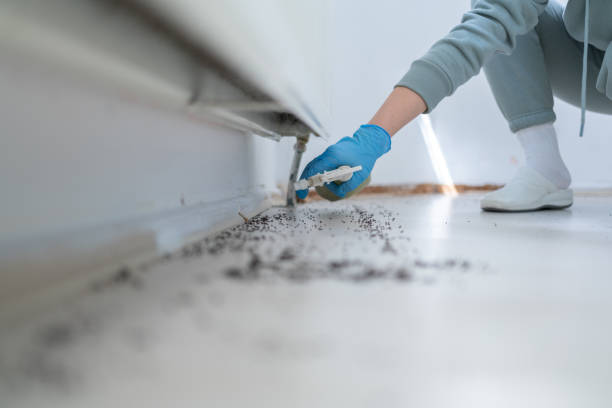 Best Insect Control  in Beaver, OK