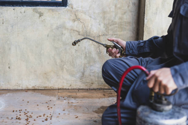 Best Termite Control Services  in Beaver, OK